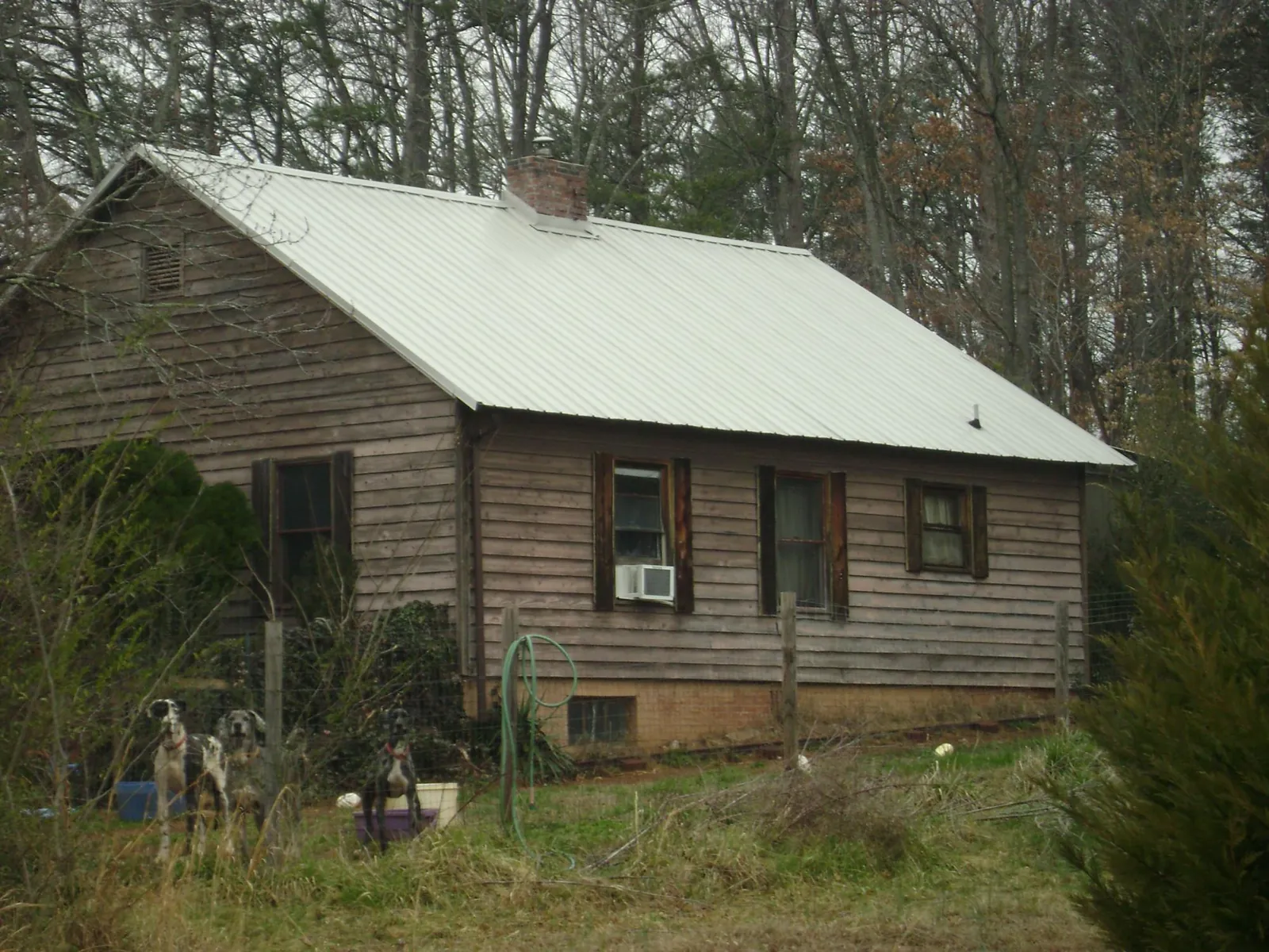 White metal roof on an old wood sided farmhouse, from a Metal Roof Installation job in Merino